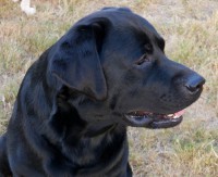 /album/fotogaleria/untitled-max-800x650-640x520-jpg/